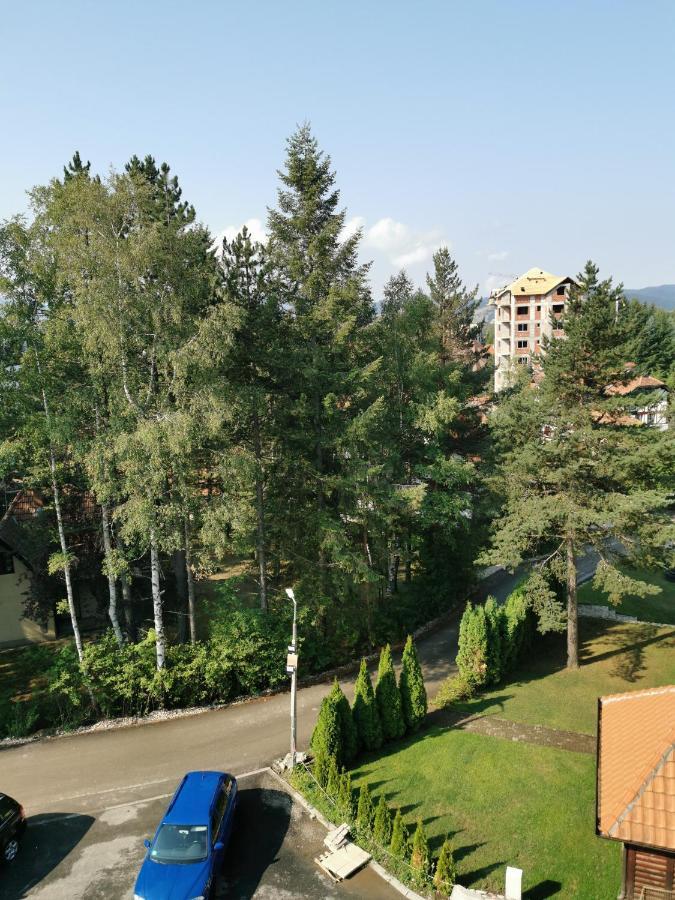 Apartman Stefanovic Vila Darija Lux 兹拉蒂博尔 外观 照片