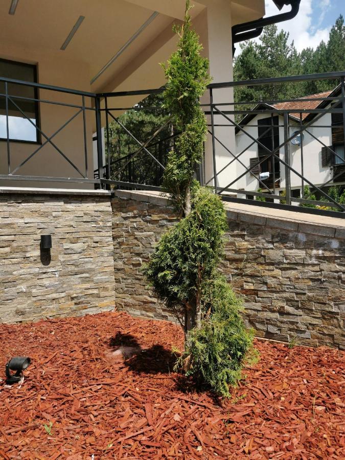 Apartman Stefanovic Vila Darija Lux 兹拉蒂博尔 外观 照片